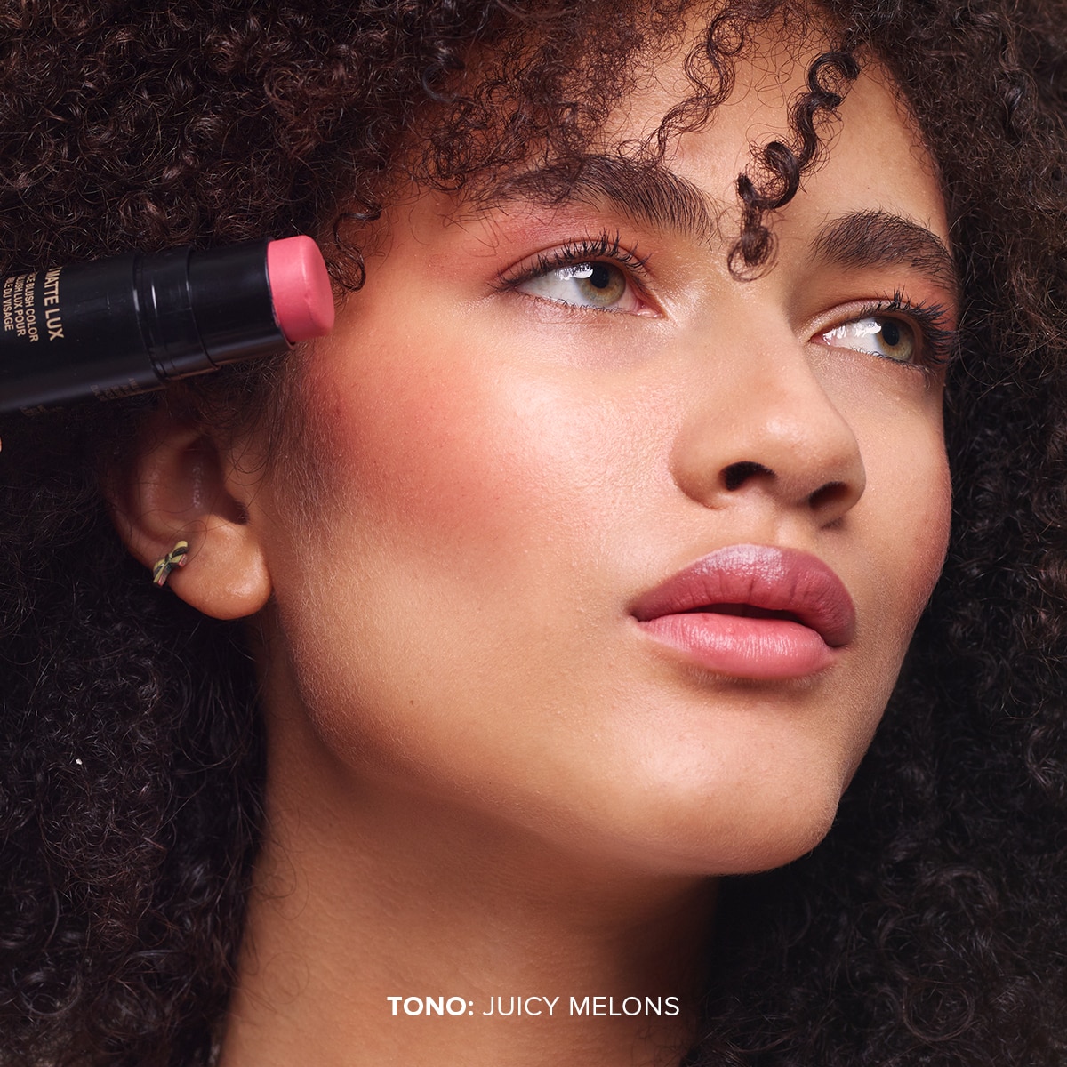 NUDIES MATTE LUX ALL OVER FACE BLUSH COLOR (RUBOR EN BARRA)